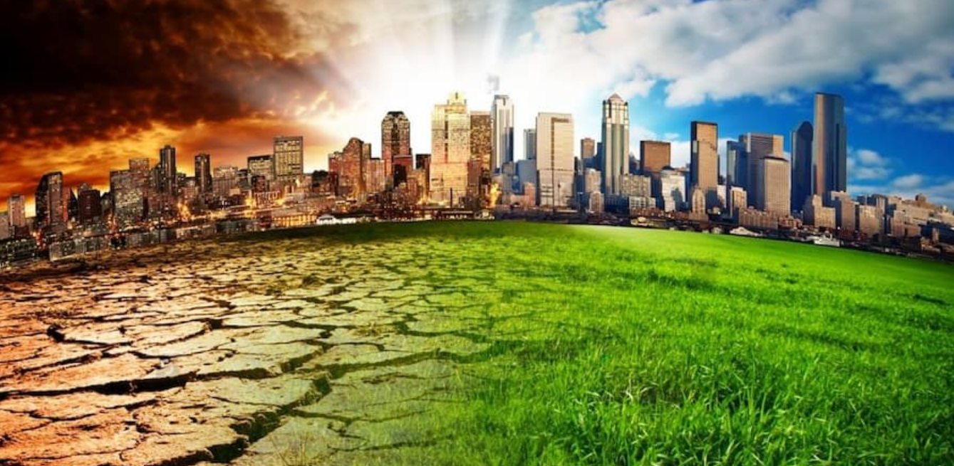 Environmental Protection & Climate Action